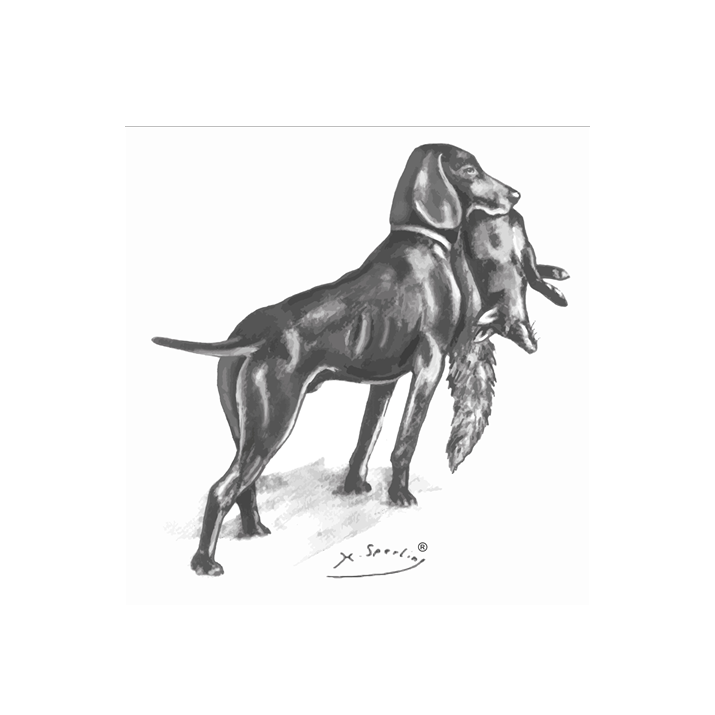 JGHV JGHV
